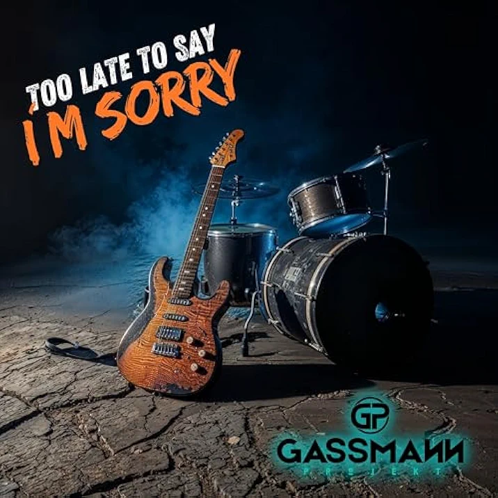 GASSMANN PROJEKT TOO LATE TO SAY I�M SORRY